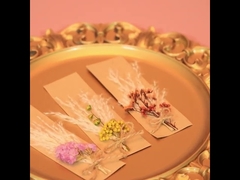 Opp Bag Pampas Natural Dried Grass Potpourri 43*15cm