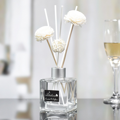 Cam Şişe DPMA Küçük Aroma Kamış Difüzör ve Yağ 50ml