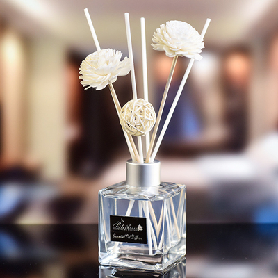 Cam Şişe DPMA Küçük Aroma Kamış Difüzör ve Yağ 50ml