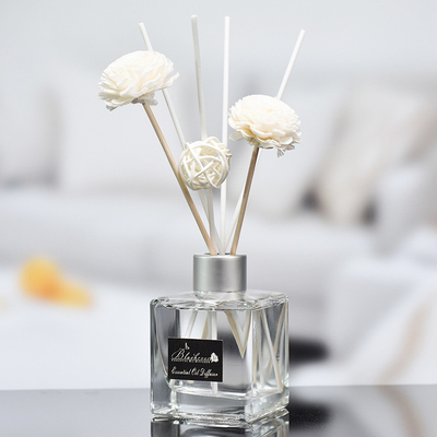 Cam Şişe DPMA Küçük Aroma Kamış Difüzör ve Yağ 50ml