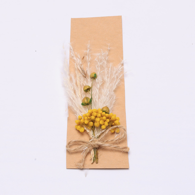 Renkli Pampa Otu Aranjman Suni 43*15cm