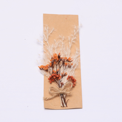 Renkli Pampa Otu Aranjman Suni 43*15cm