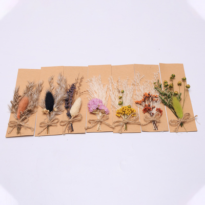 Renkli Pampa Otu Aranjman Suni 43*15cm